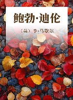鲍勃·迪伦 封面