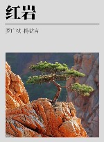 红岩 封面