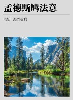 孟德斯鸠法意 上 封面