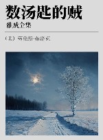 雅贼全集 数汤匙的贼 封面