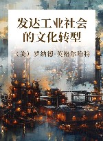 发达工业社会的文化转型 封面