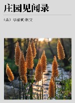 庄园见闻录 封面