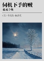 雅贼全集 伺机下手的贼 封面