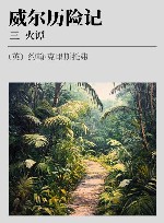 威尔历险记  3  火谭 封面