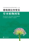 香格里拉市常见草本植物图鉴 封面
