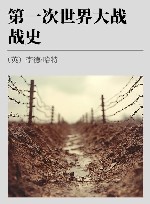 第一次世界大战战史 封面