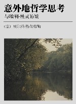 意外地哲学思考 与埃利·杜灵访谈 封面