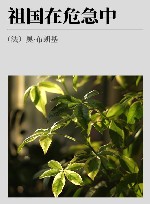 祖国在危急中 封面