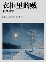 雅贼全集 衣柜里的贼 封面