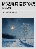 雅贼全集 研究斯宾诺莎的贼 封面