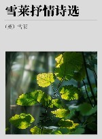 雪莱抒情诗选 封面