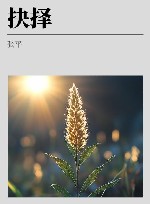 抉择 封面