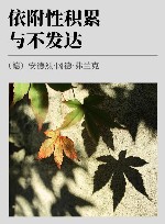 依附性积累与不发达 封面