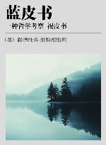 维特根斯坦全集 6 蓝皮书 一种哲学考察 褐皮书 封面