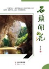 石头开花 封面