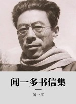 闻一多书信集 封面