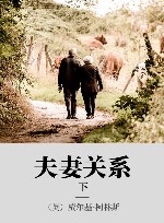 夫妻关系  下 封面