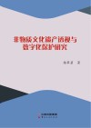 非物质文化遗产透视与数字化保护研究 封面