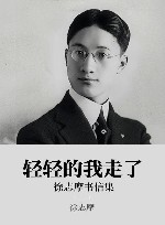 轻轻的我走了 xa0徐志摩书信集 封面