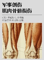 军事创伤 肌肉骨骼损伤 封面