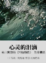 心灵的泪滴 xa0来自富饶的《玛斯纳维》鲁米精选 封面