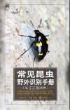 好奇心书系 常见昆虫野外识别手册 长江三角洲卷 封面