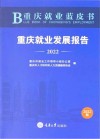 重庆就业蓝皮书  重庆就业发展报告  2022 封面