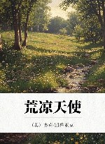 荒凉天使 封面