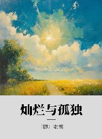 灿烂与孤独 封面