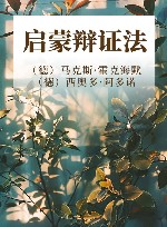 启蒙辩证法 封面