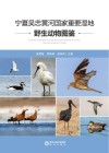 宁夏吴忠黄河国家重要湿地野生动物图鉴 封面