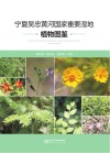 宁夏吴忠黄河国家重要湿地植物图鉴 封面