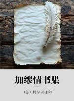 加缪情书集