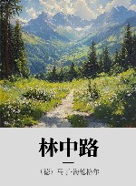 林中路 封面
