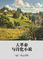 大革命与诗化小说 封面
