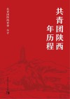 共青团陕西百年历程 封面