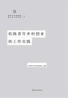 扶助青年乡村创业的工作实践 封面