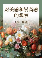 对美感和崇高感的观察 封面