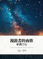 漫游者的夜歌  歌德诗选 封面