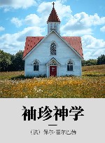 袖珍神学 封面