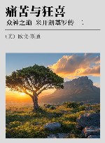 痛苦与狂喜 众神之巅 米开朗基罗传 2 封面