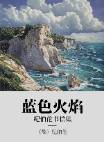 蓝色火焰 书信集 封面