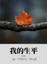 我的生平 封面