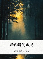 墨西哥的幽灵 封面