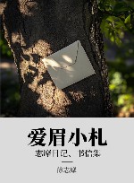 爱眉小札 xa0志摩日记、书信集 封面