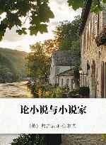 论小说与小说家 封面