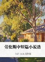 劳伦斯中短篇小说选 封面