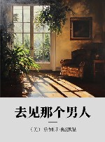 去见那个男人 封面