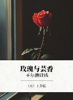 玫瑰与芸香  王尔德诗选 封面