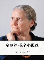 另外那个女人 多丽丝·莱辛小说 封面